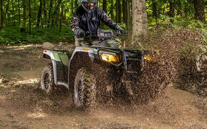 2026 Honda FourTrax Rubicon 700 4x4 Automatic