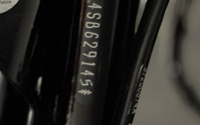 2025 Harley-Davidson Street Glide® FLHX IRON HORSE MTLC