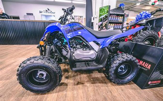 2024 Yamaha Raptor 110