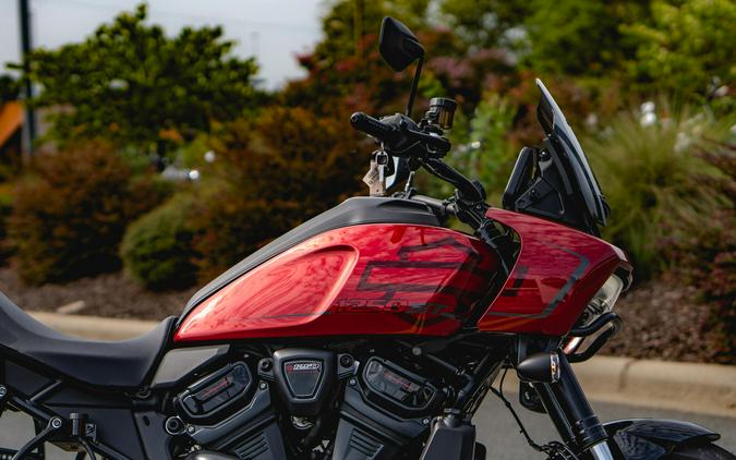RA1250ST 2025 Pan America® 1250 ST