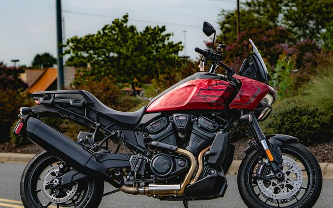 RA1250ST 2025 Pan America® 1250 ST