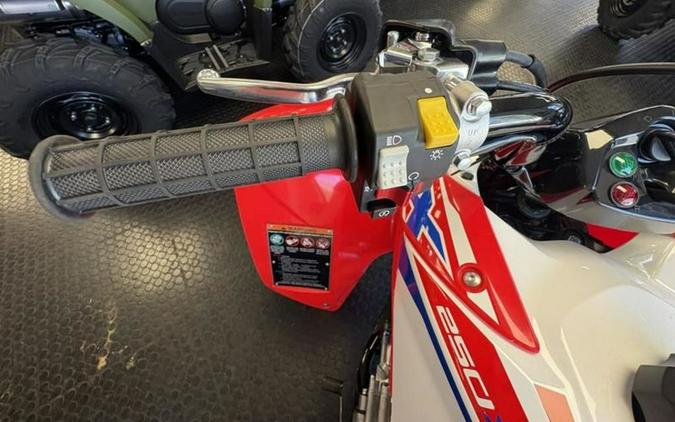 2026 Honda® TRX250X