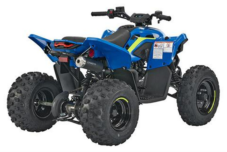 2024 CFMOTO CForce 110