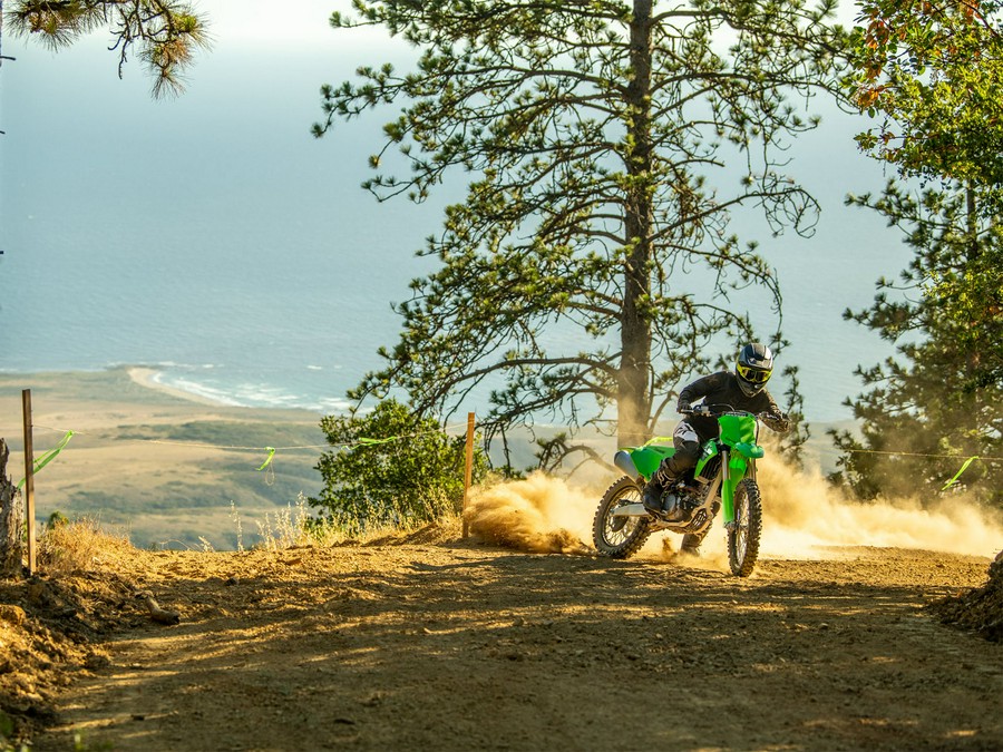 2024 Kawasaki KX 250X