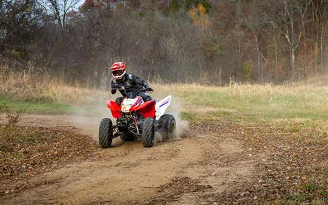 2026 Honda TRX250X