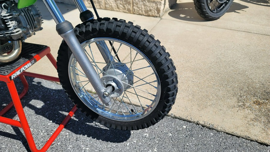 2020 Kawasaki KLX 110L