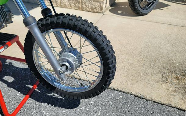 2020 Kawasaki KLX 110L