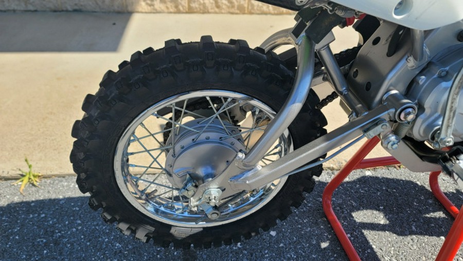 2020 Kawasaki KLX 110L