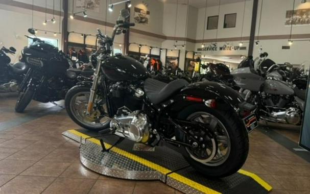 2024 Harley-Davidson® FXST - Softail® Standard