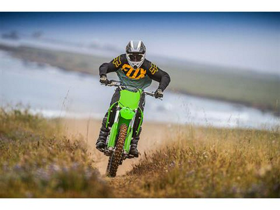 2024 Kawasaki KLX 300R