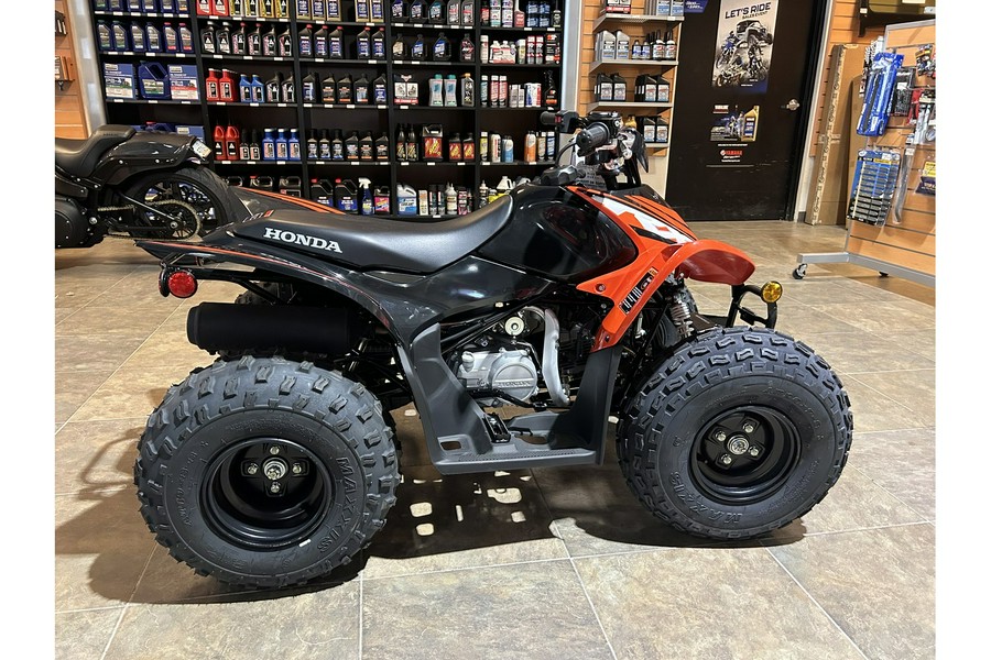 2024 Honda TRX® 90X