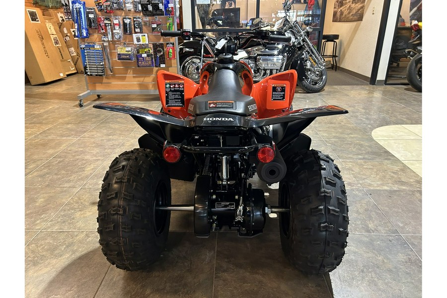 2024 Honda TRX® 90X