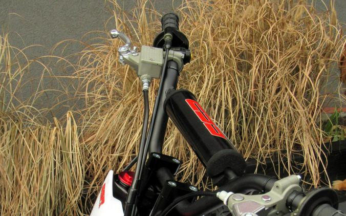 2025 SSR Motorsports SR125R