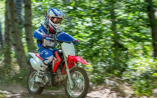 2017 Honda CRF110F