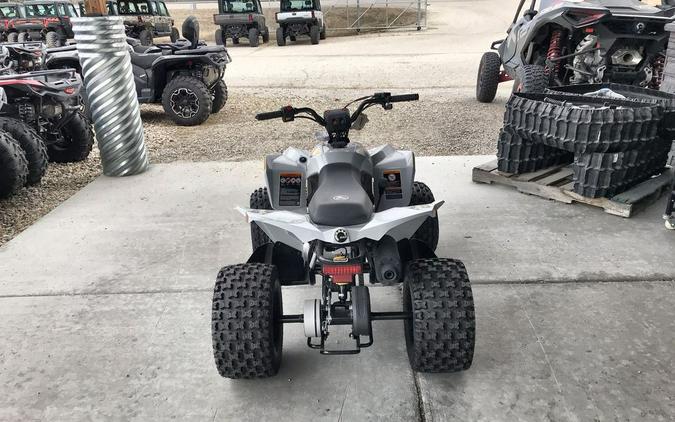 2026 Can-Am® Renegade 110 EFI