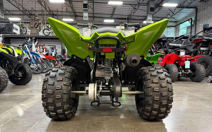 2026 Yamaha Raptor 110