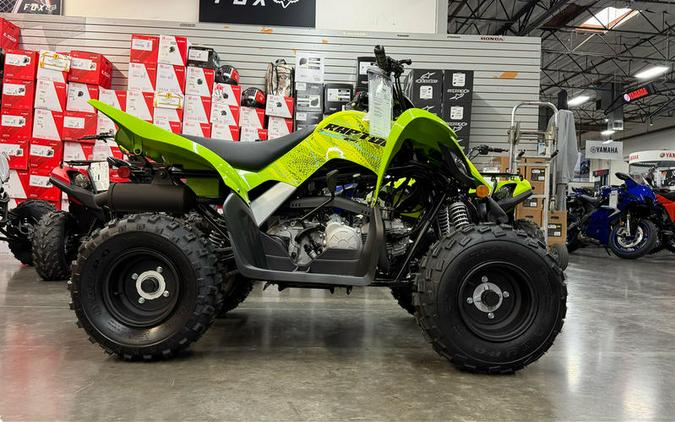 2026 Yamaha Raptor 110