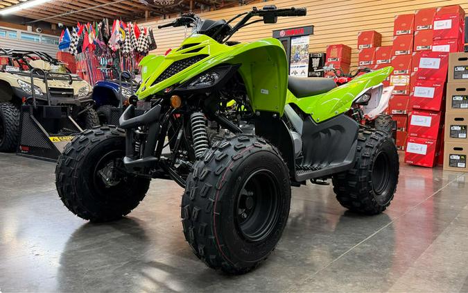 2026 Yamaha Raptor 110