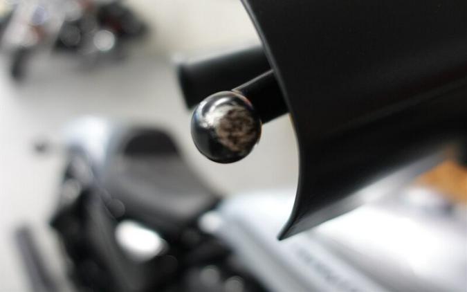 2020 Harley-Davidson Sportster 1200 Iron