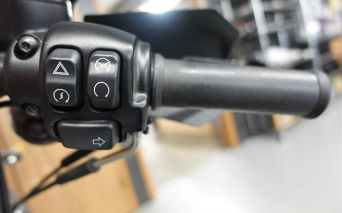 2020 Harley-Davidson Sportster 1200 Iron
