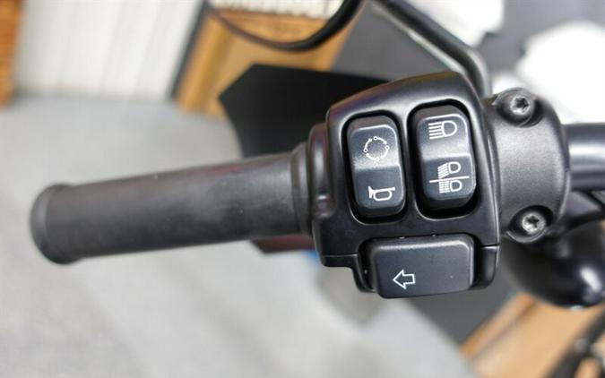 2020 Harley-Davidson Sportster 1200 Iron