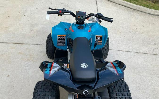 2026 Can-Am Renegade 110 EFI