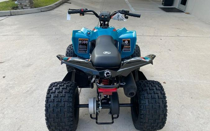 2026 Can-Am Renegade 110 EFI