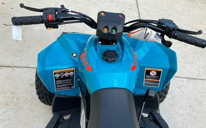 2026 Can-Am Renegade 110 EFI