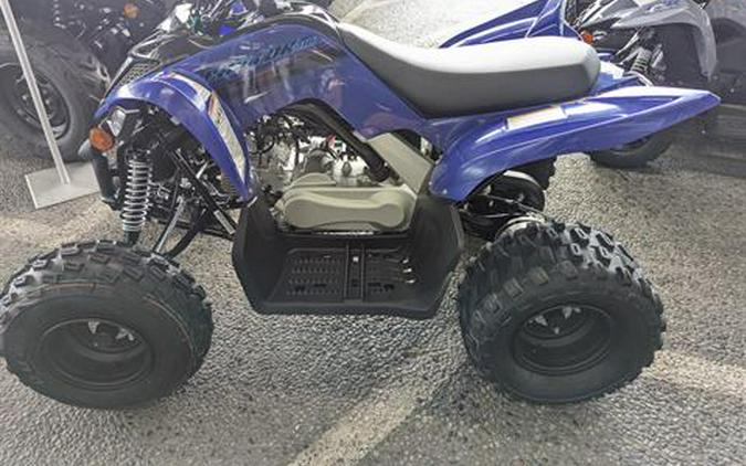 2024 Yamaha Raptor 110