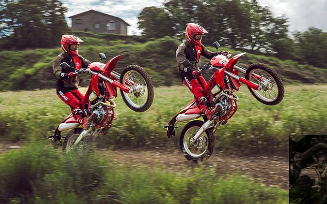 2025 GASGAS ES 500