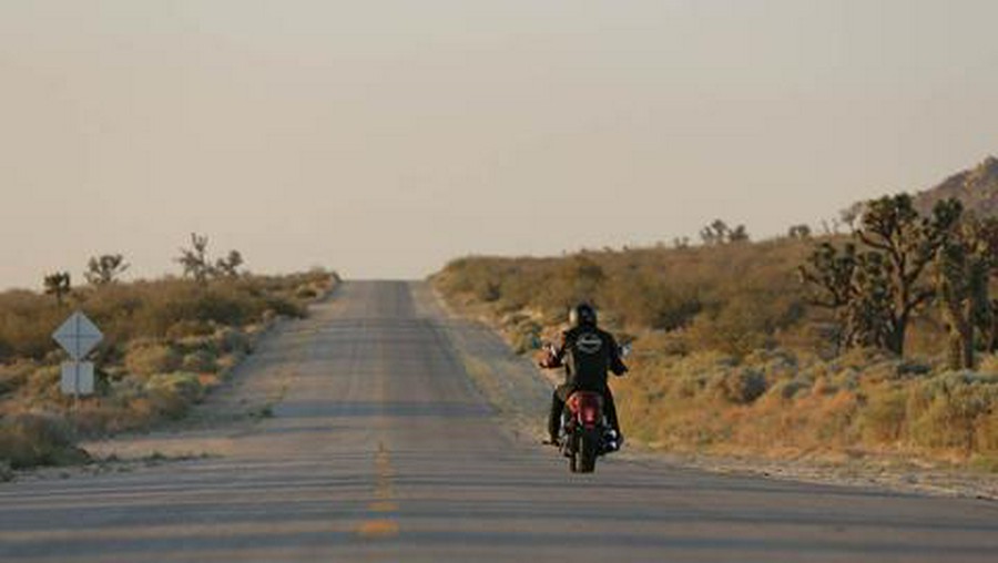 2015 Indian Motorcycle Scout™