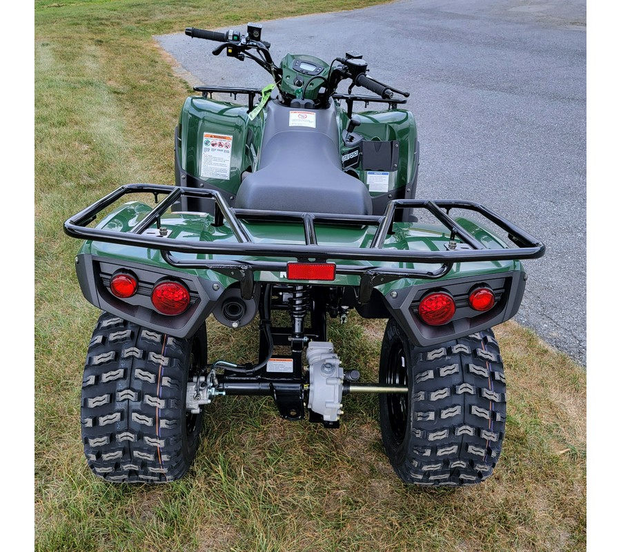 2025 Kawasaki Brute Force 300