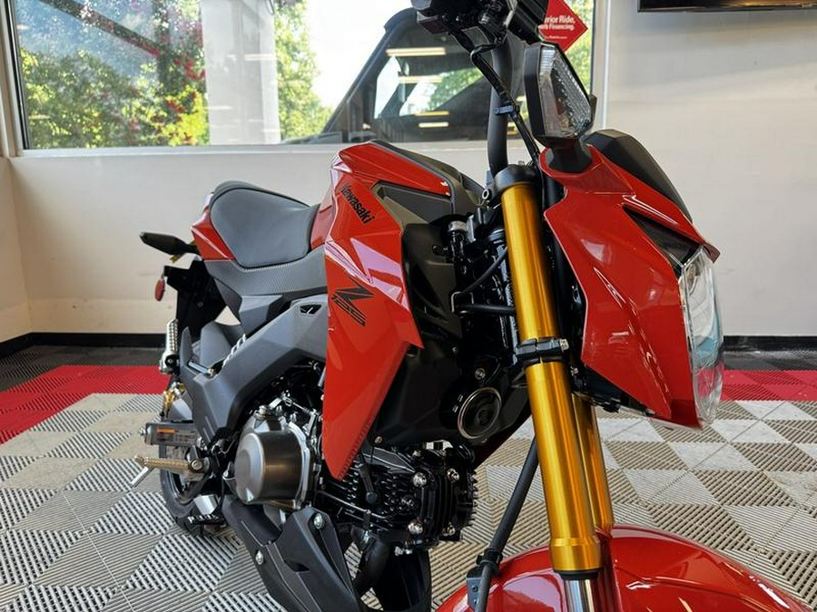 2025 Kawasaki Z125 PRO