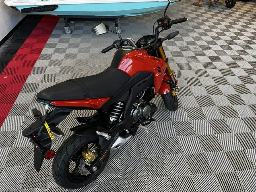 2025 Kawasaki Z125 PRO