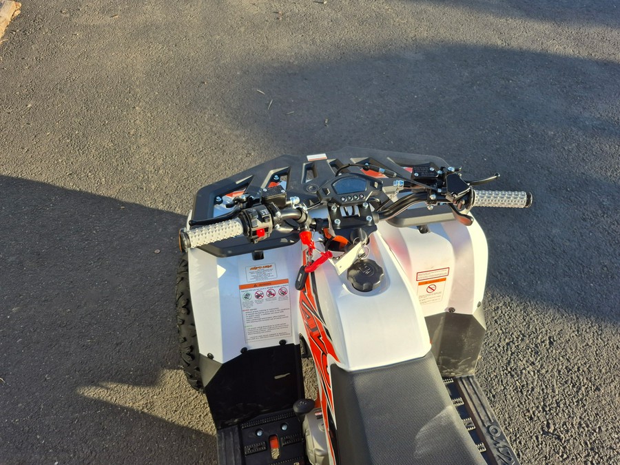 2025 Kayo BULL 125 EFI-WHITE - 04689