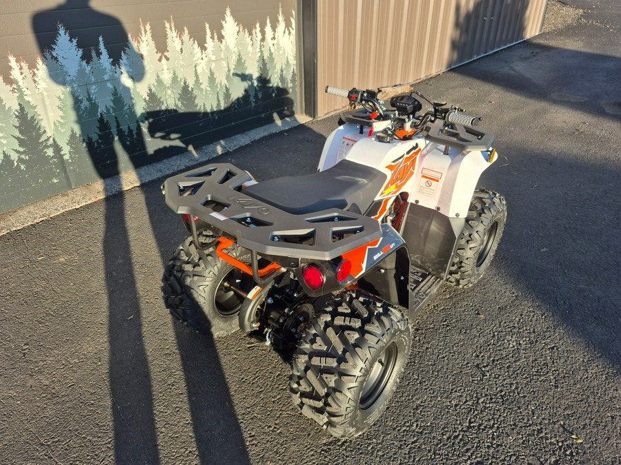 2025 Kayo BULL 125 EFI-WHITE - 04689