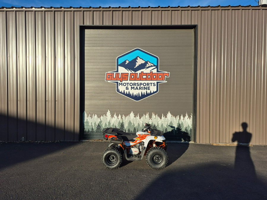 2025 Kayo BULL 125 EFI-WHITE - 04689