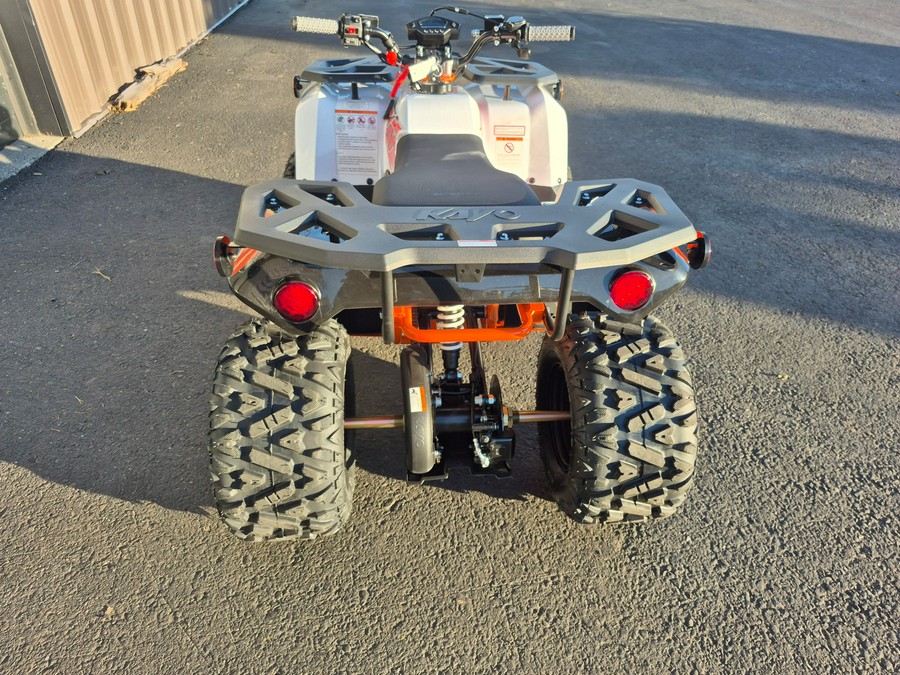 2025 Kayo BULL 125 EFI-WHITE - 04689
