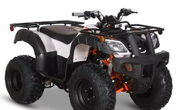 2026 Kayo Bull 150 EFI