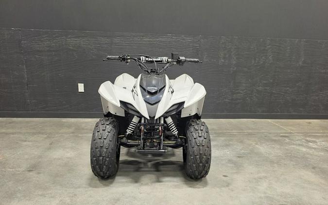 2027 Kawasaki KFX 90
