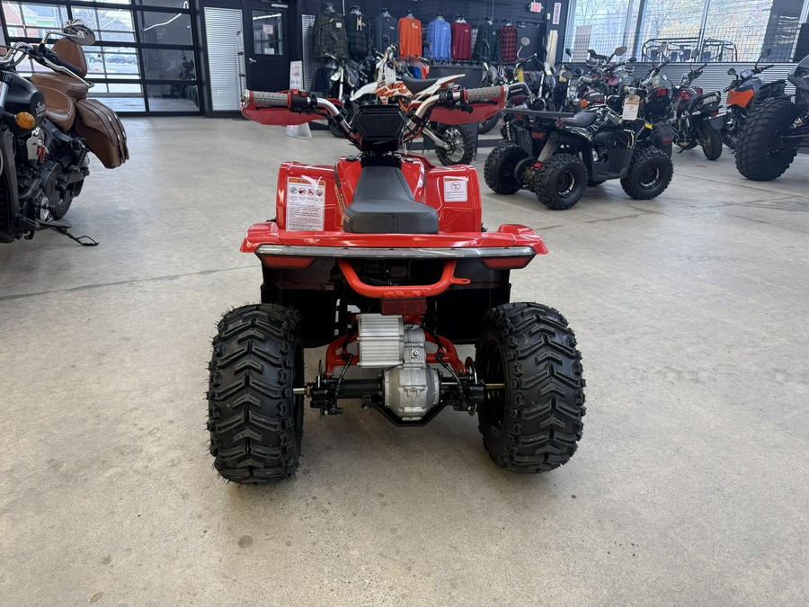 2026 Denago Powersports E-Hawk 6