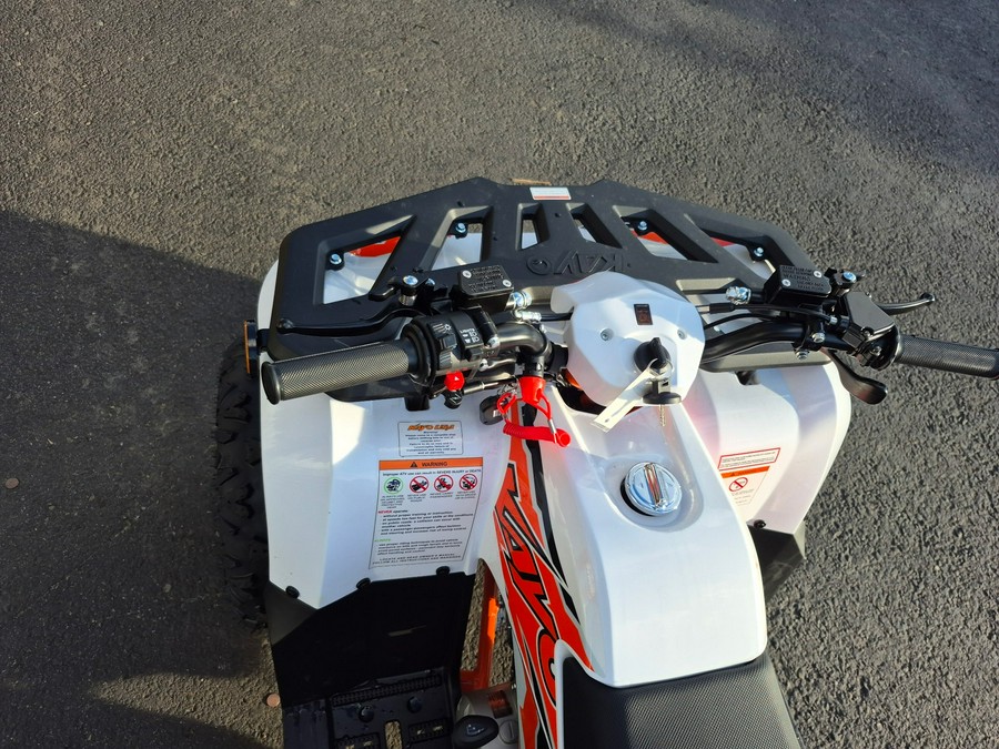 2025 Kayo BULL 110-WHITE - 01385