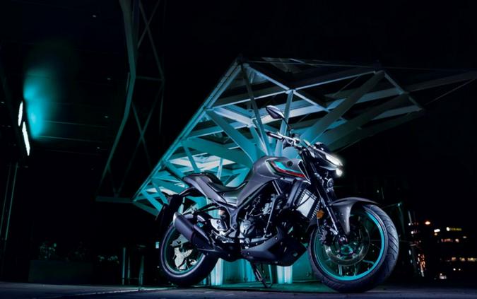 2024 Yamaha MT-03