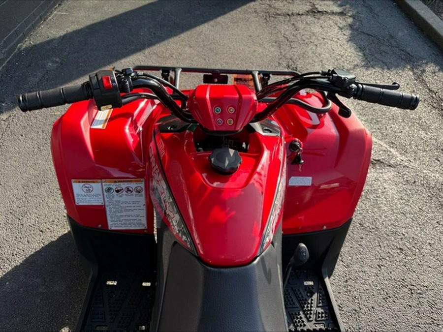 2025 Yamaha Grizzly 110