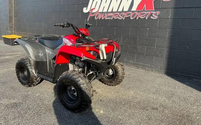 2025 Yamaha Grizzly 110