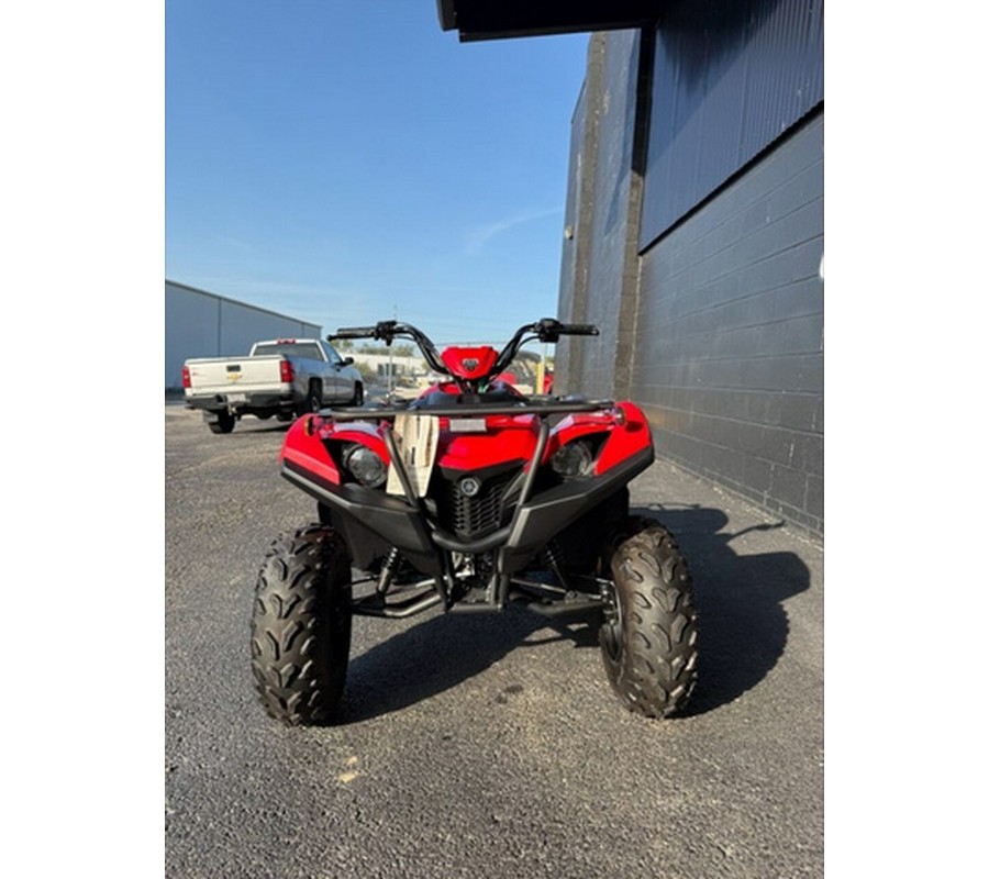 2025 Yamaha Grizzly 110