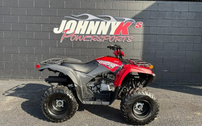 2025 Yamaha Grizzly 110