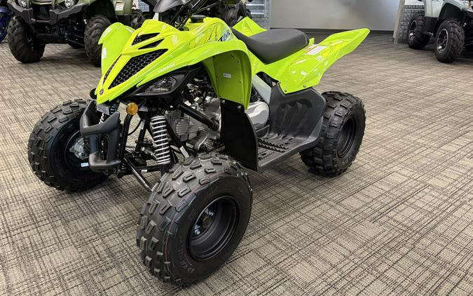2026 Yamaha Raptor 110
