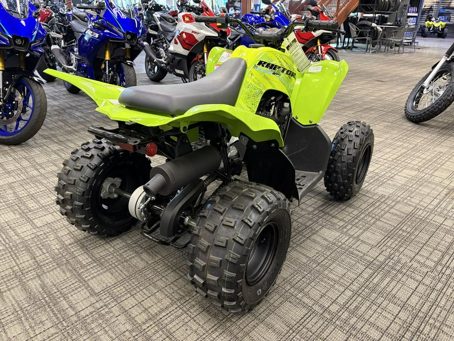 2026 Yamaha Raptor 110