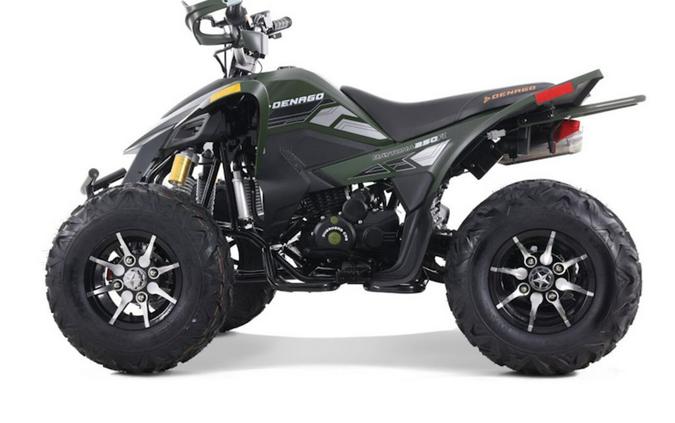 2025 Denago Powersports Daytona 250 FI